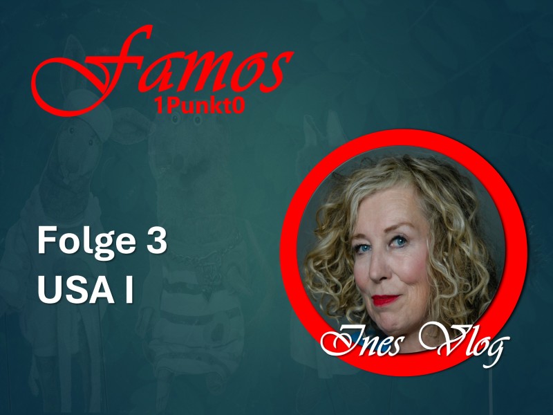 Symbolbild zur 3.Folge von Ines VLOG: USA I